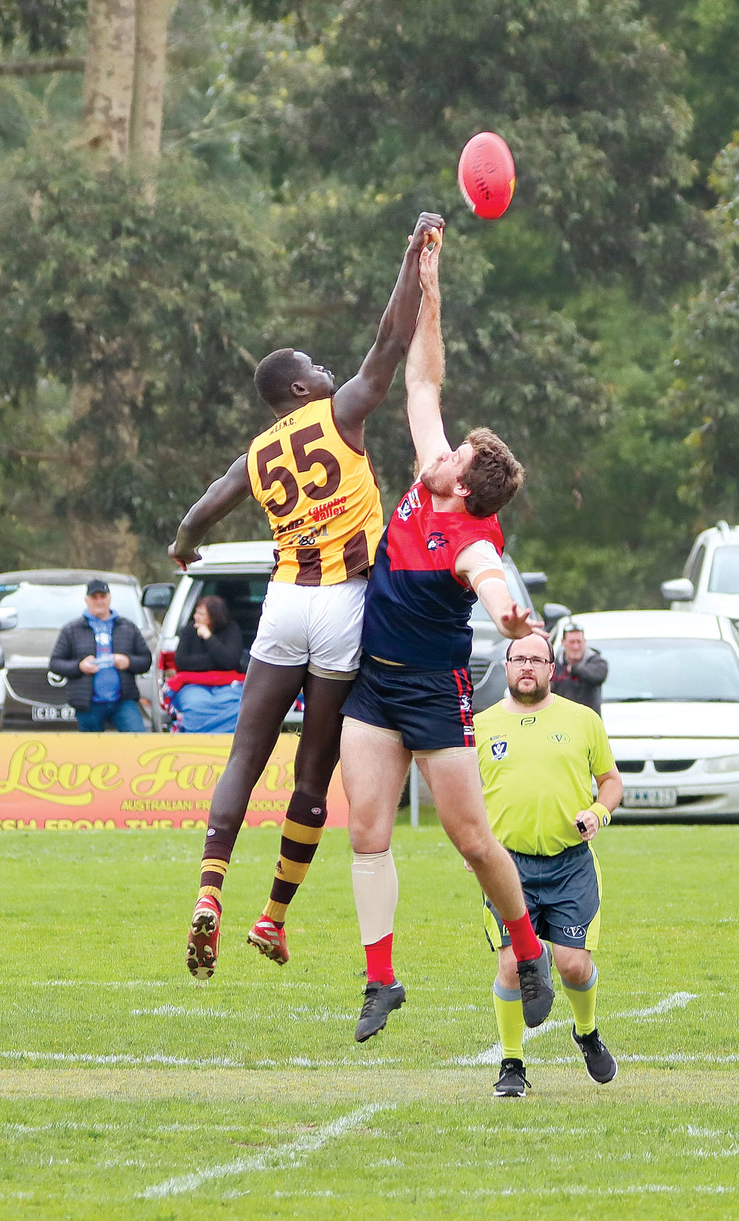 Demons live to see another day