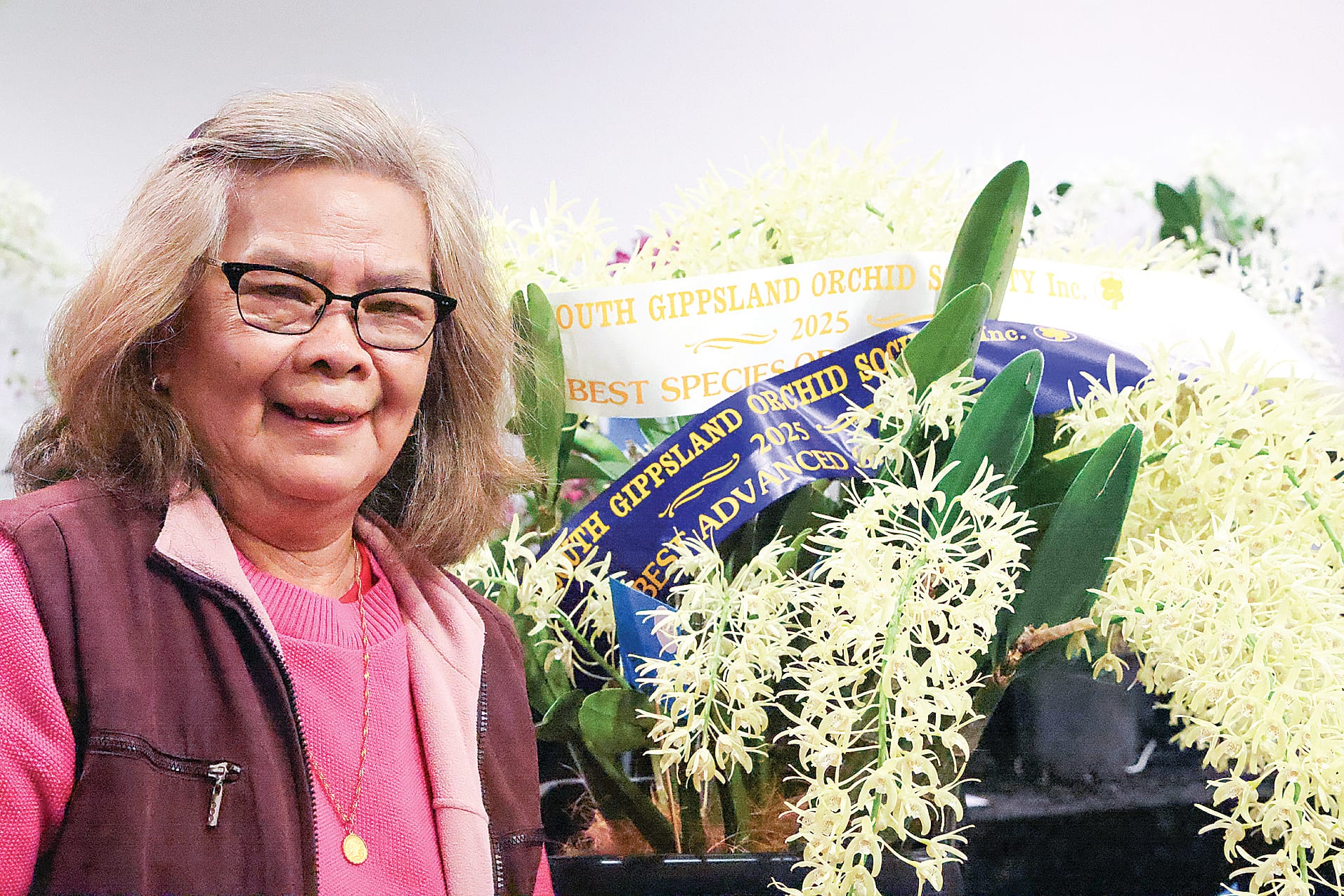 Lita Gill Best Species in Show (Dendrobium speciosum) and Best Specimen in Show (Dendrobium Gracious Cascades). B22_3725