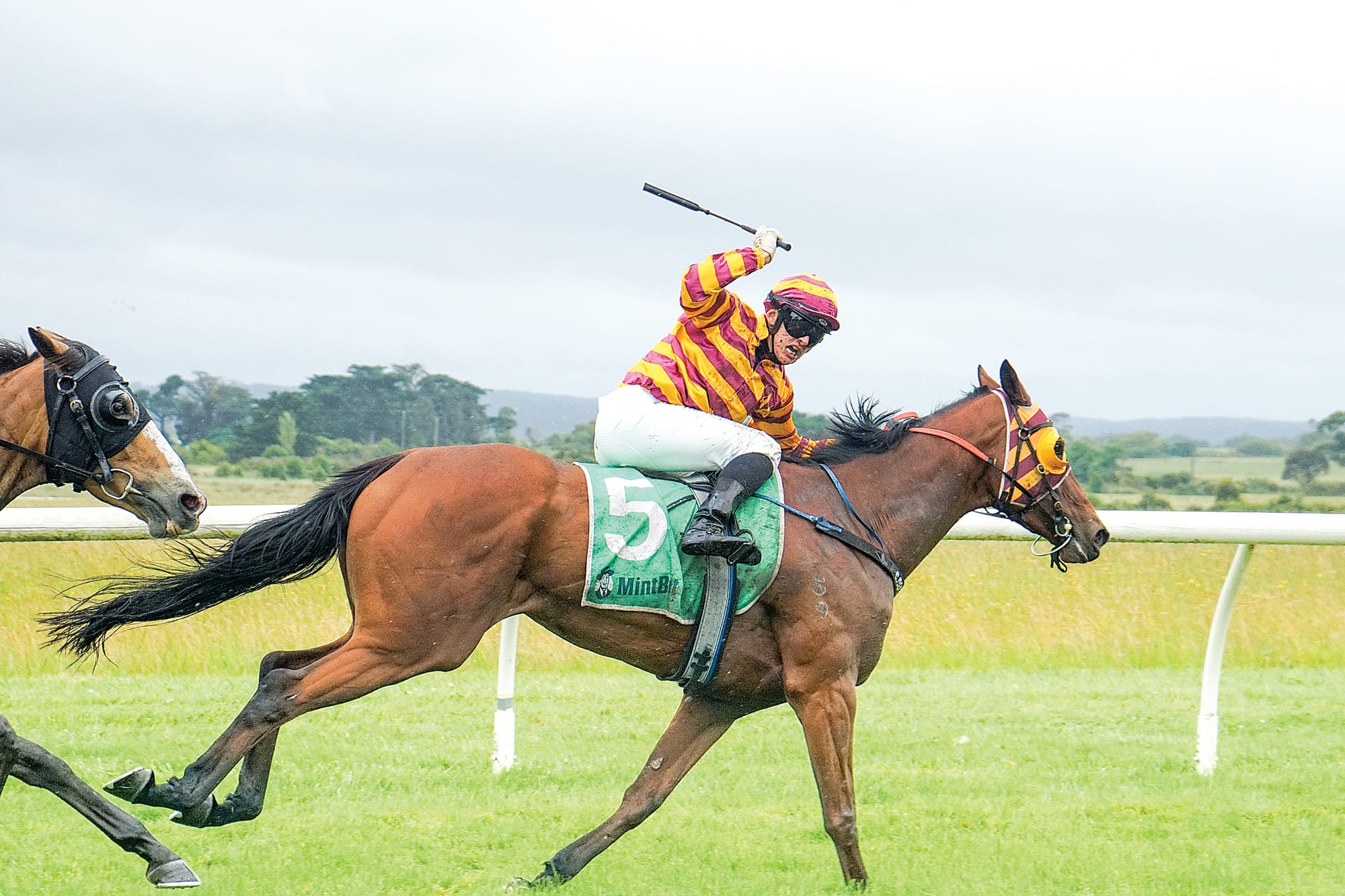 Dylan Dean on Galleria takes the lead as the pace ramps up in race 5. Ns28_4923