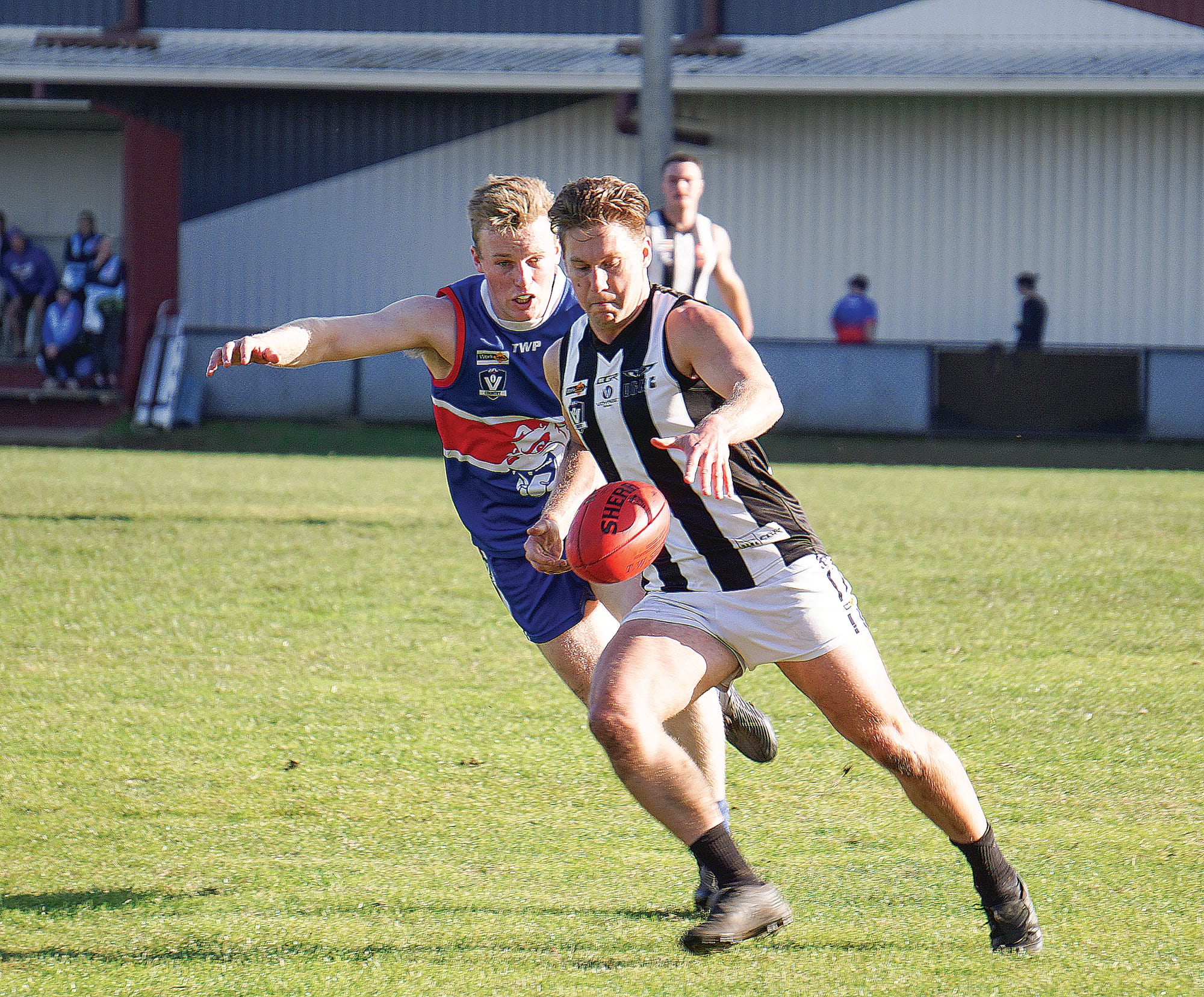 Magpies winged by Bulldogs
