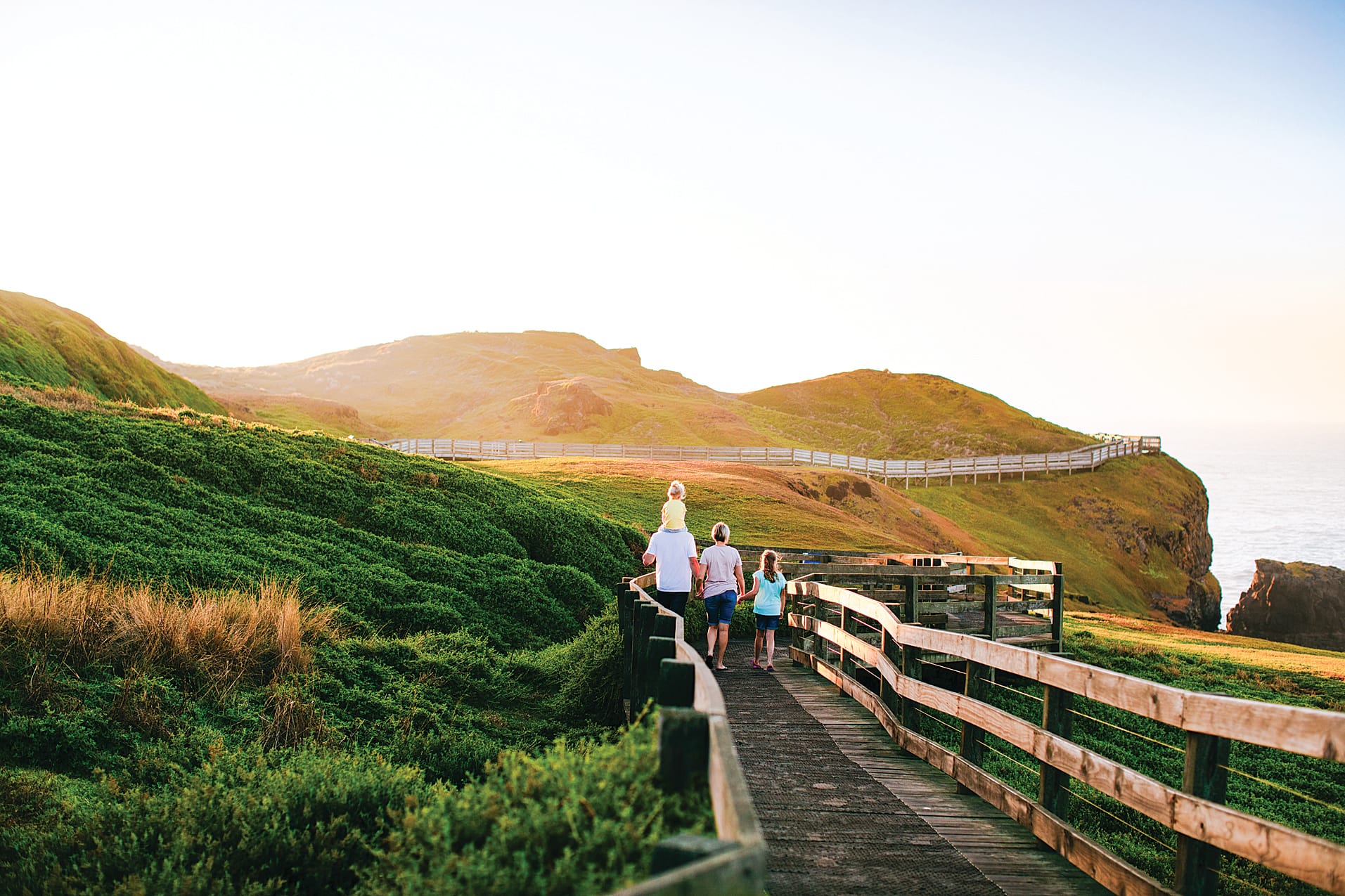 Balancing visitor access with habitat protection is key and community input will help guide upgrades to trails and facilities like the Penguin Parade boardwalks and beyond.