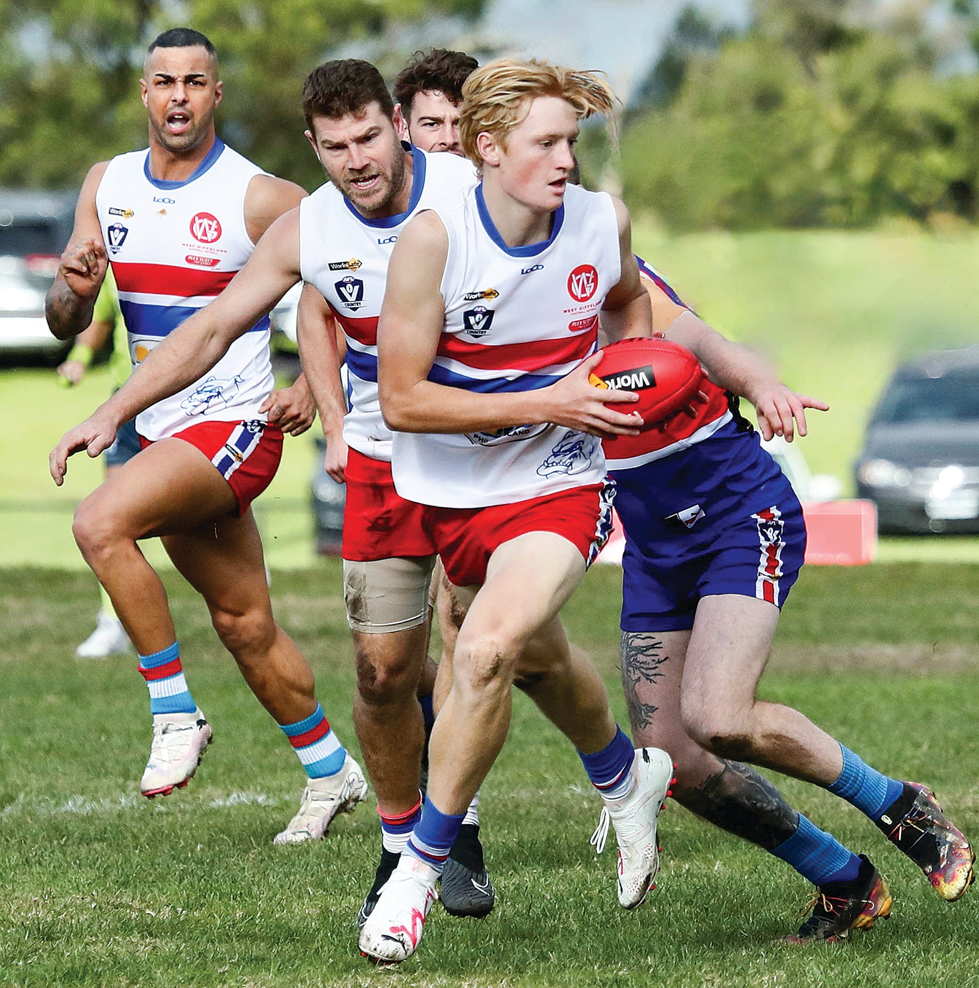 Bulldogs claim equal top spot