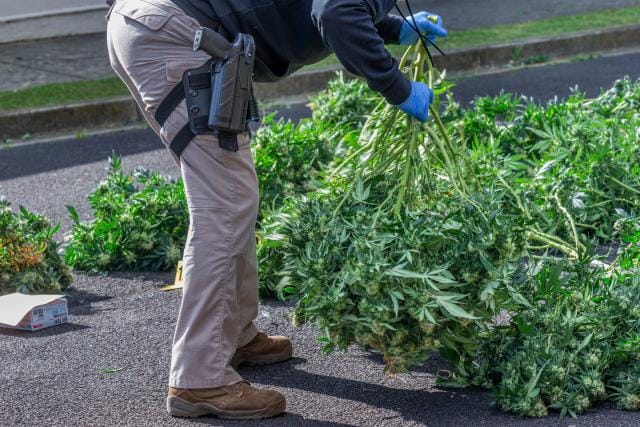 Tenby Point man among those arrested in $15M drug bust