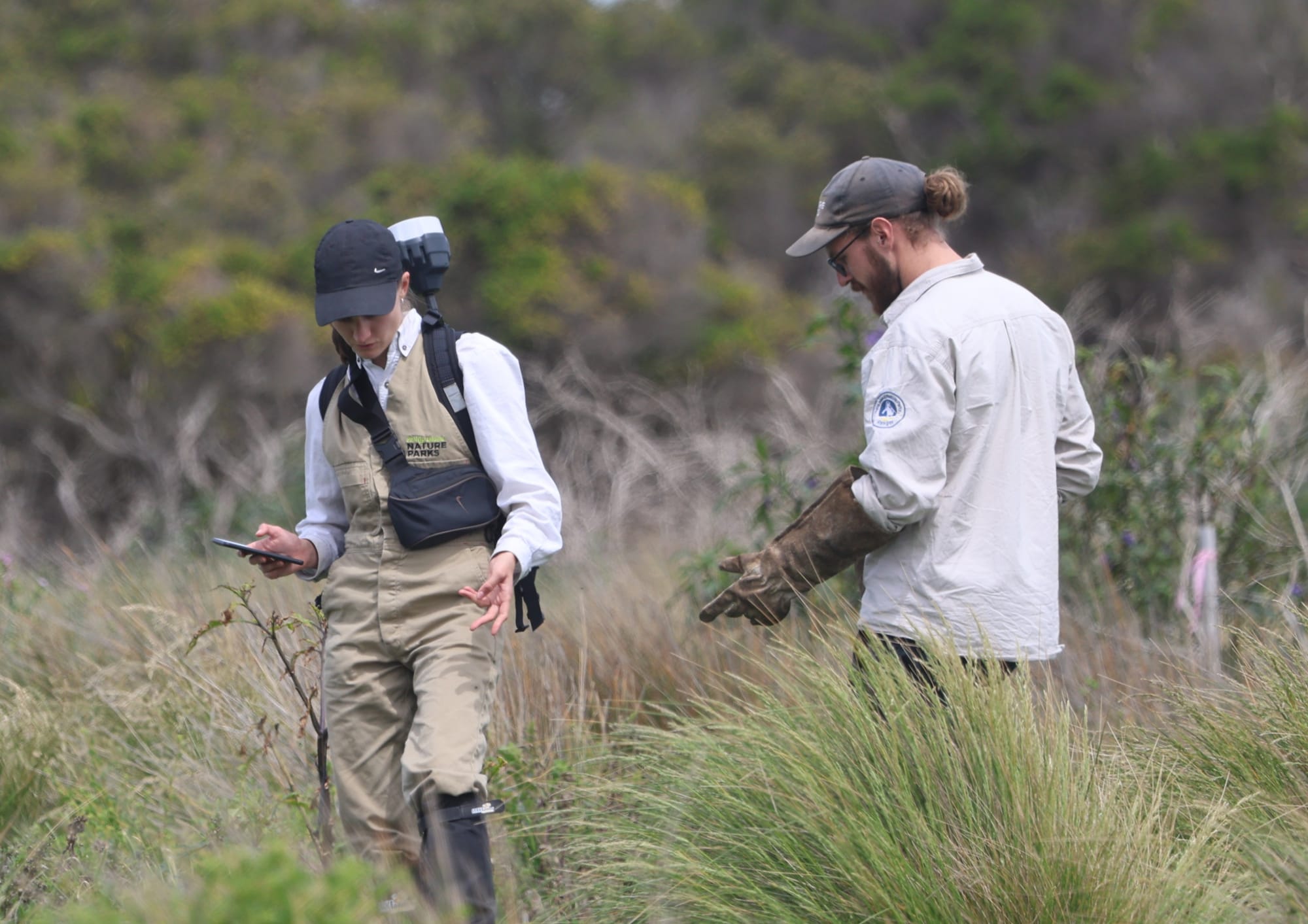 52 ‘sold out’ nights as penguin visits continue to climb