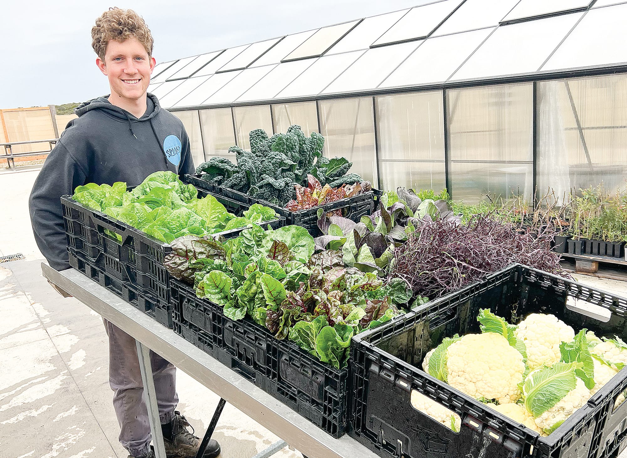 Spring at The Cape Community Farm