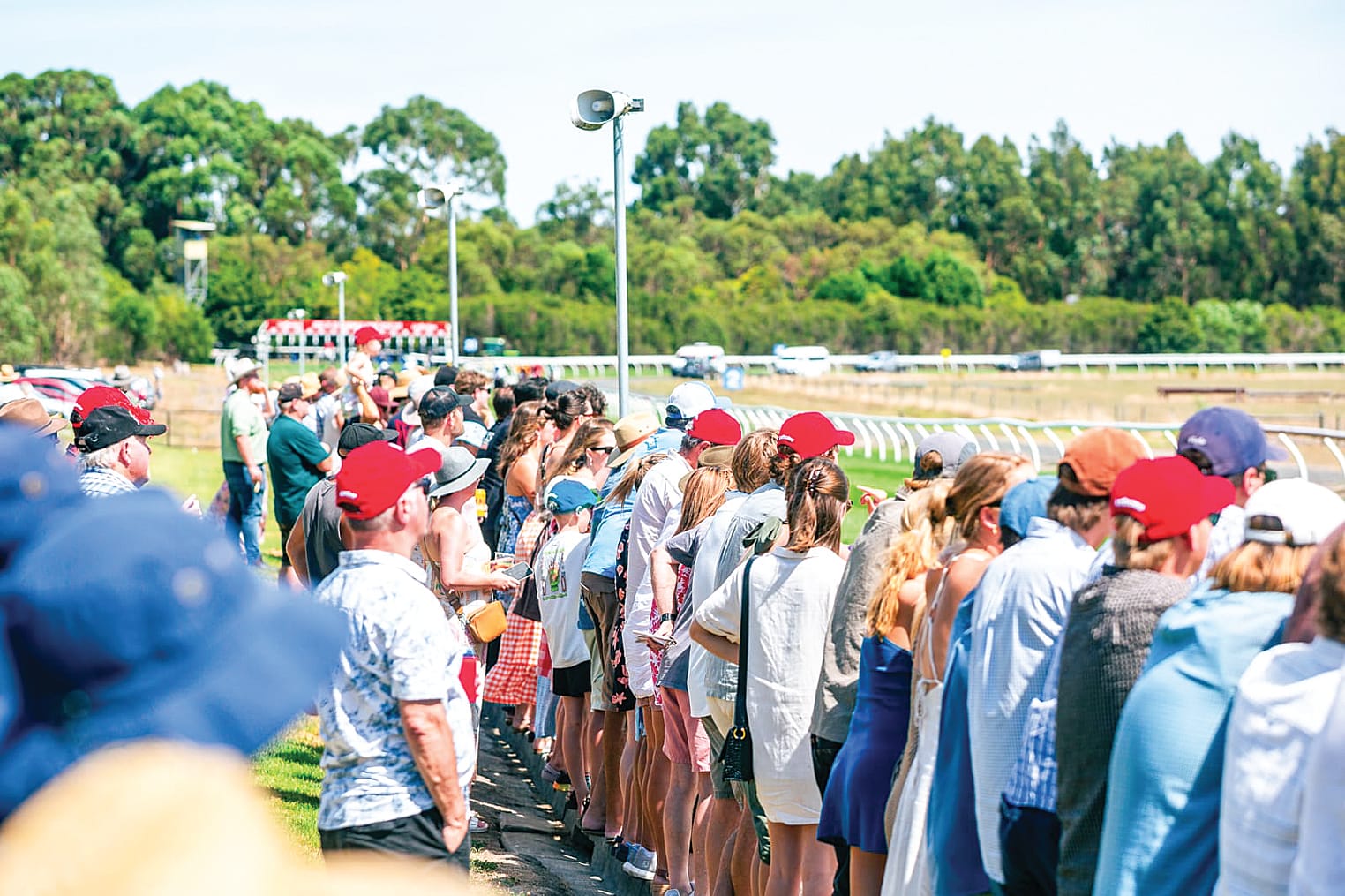 Stony Creek set for festive start to the racing season