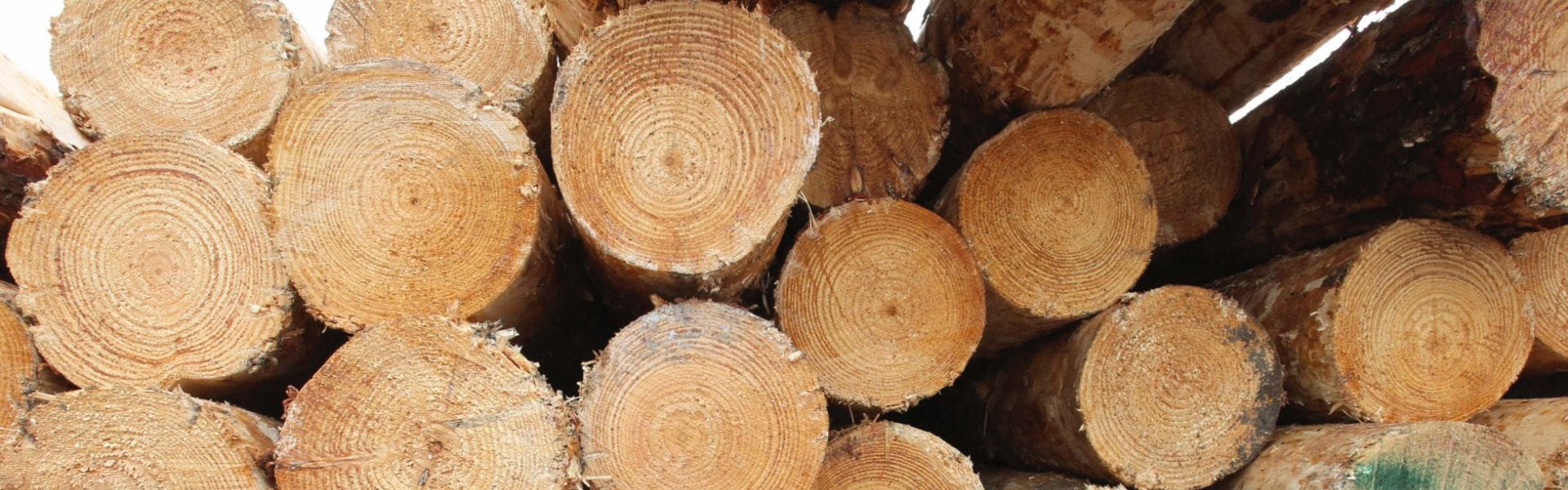 AKD announces closure of Yarram sawmill