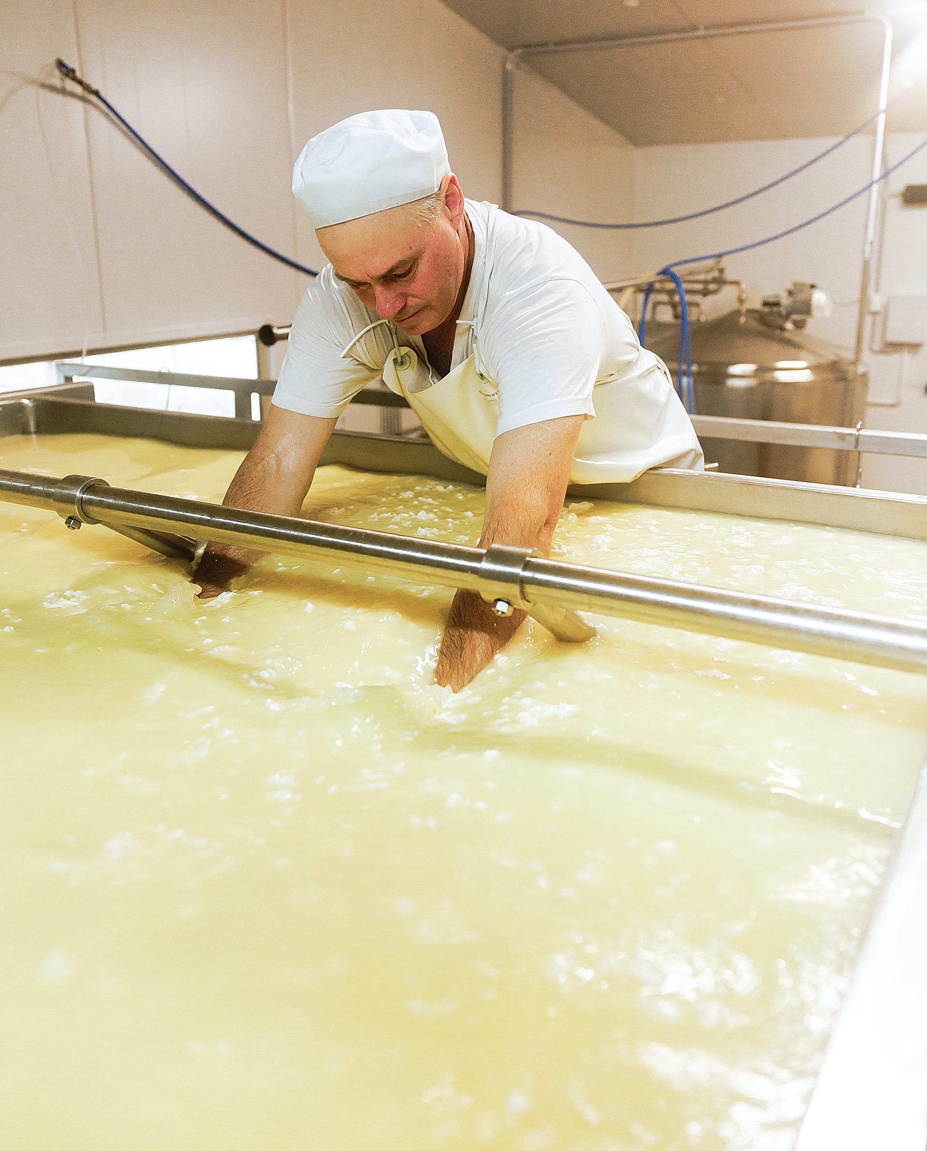 South Gippsland cheesemakers sweep blue cheese finals