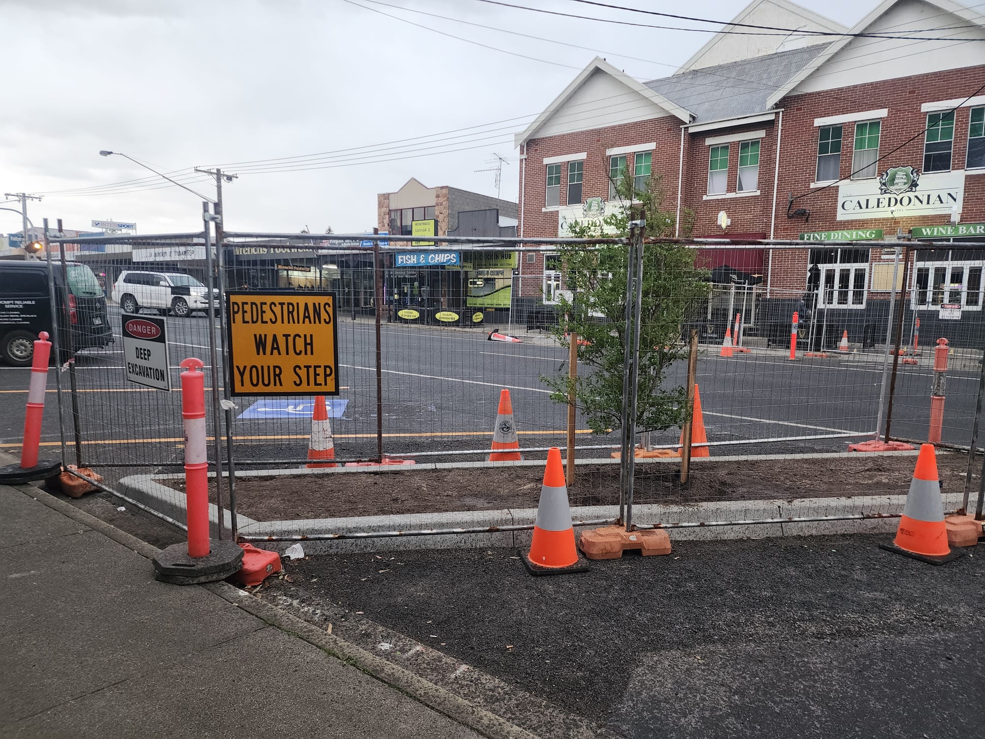 First crepe myrtles planted on Graham Street