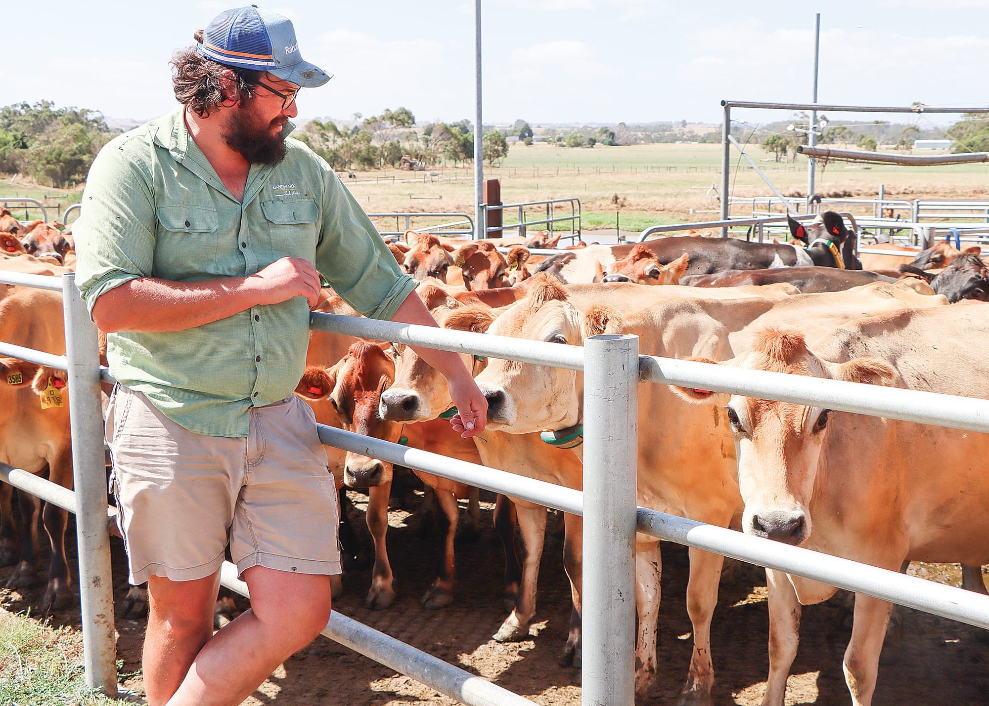 Virtual fencing and herding technology welcomed