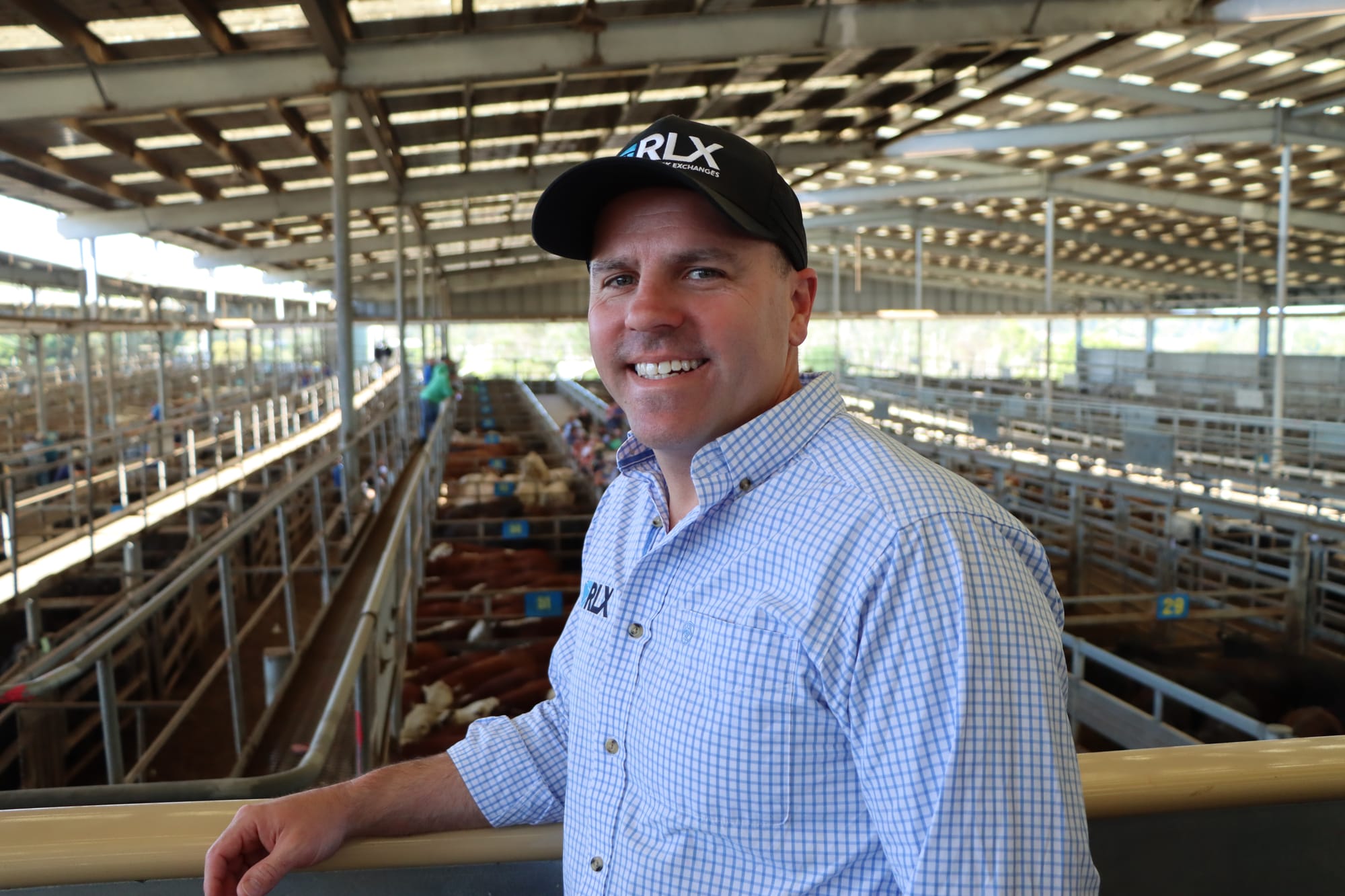Regional Livestock Exchanges CEO outlines transition of Leongatha Saleyards