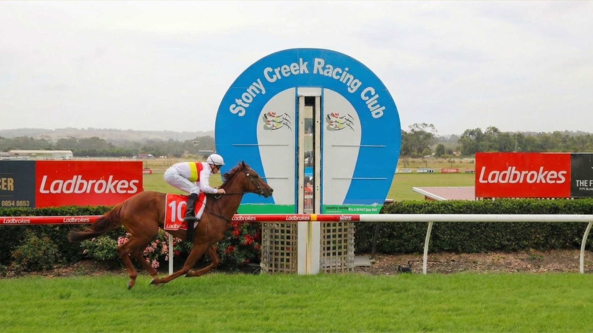 Treble for Carleen Hefel on fun racing day at Stony Creek