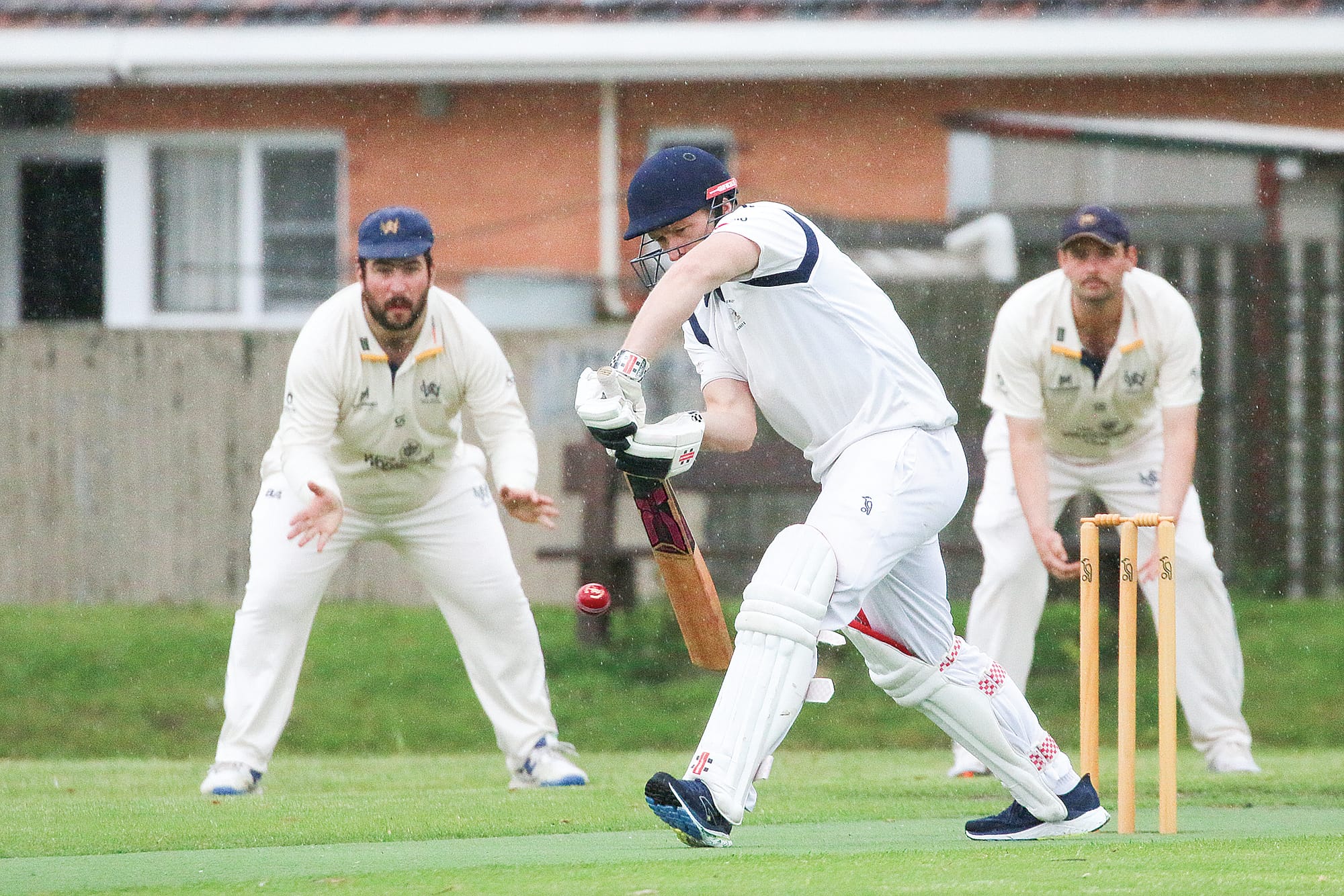 AROUND THE GROUNDS...