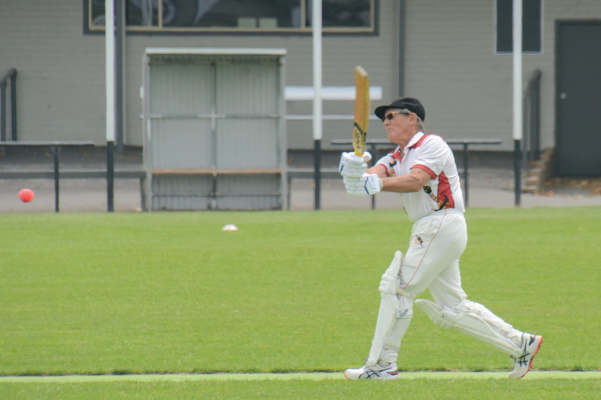 Celebrations for Kookaburras cricketer Pieter Loos