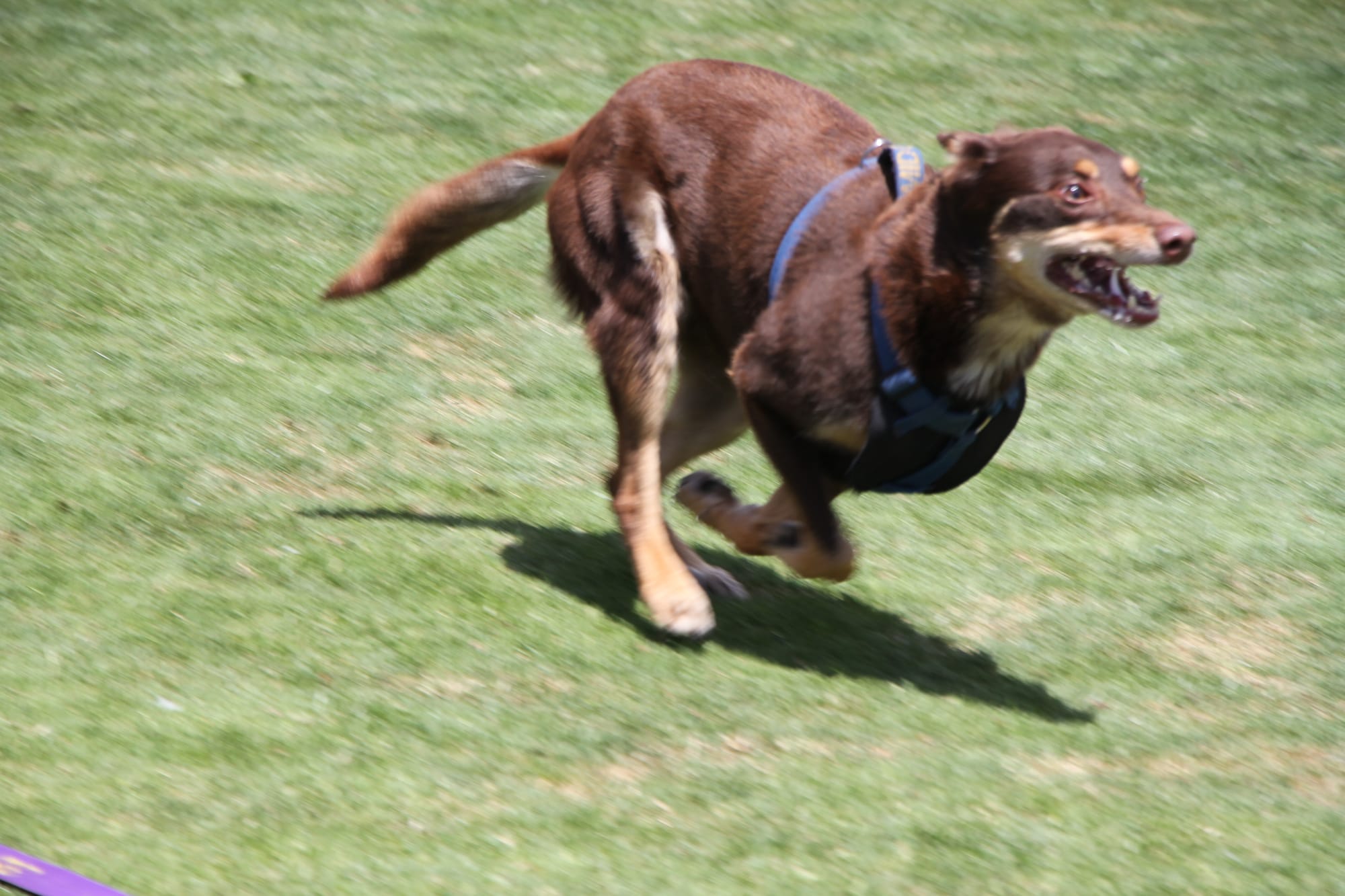 America plays catch-up with Aussie slang