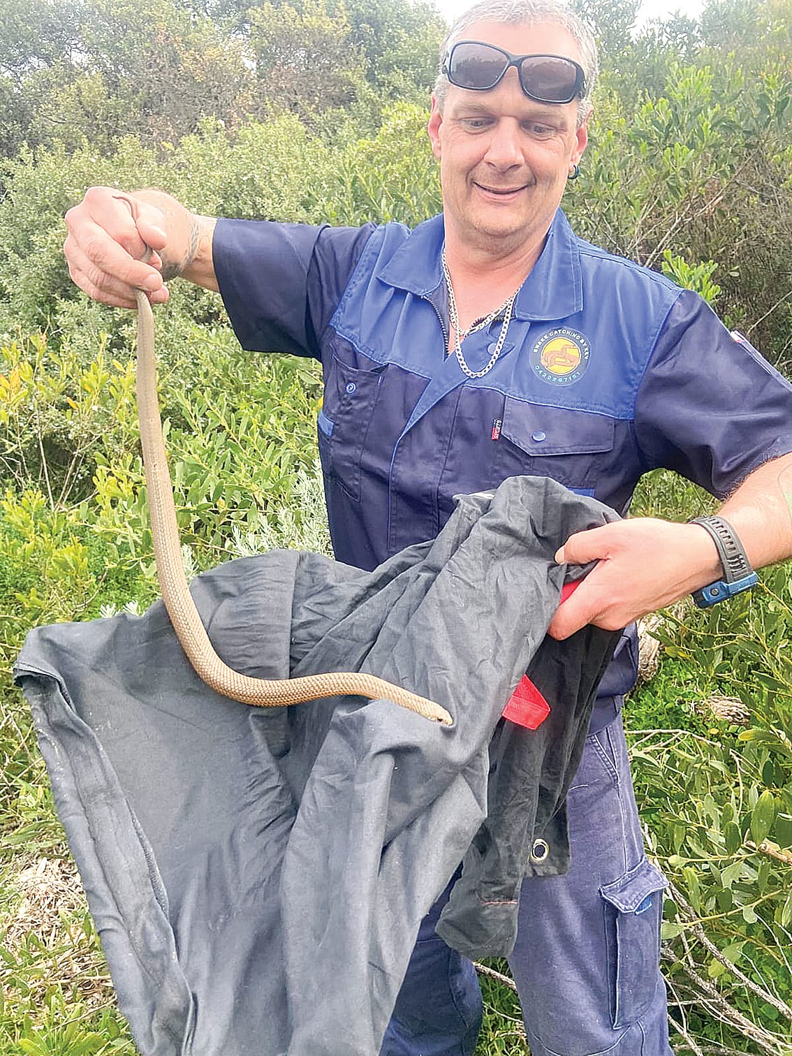 Warm weather brings snakes out of hiding