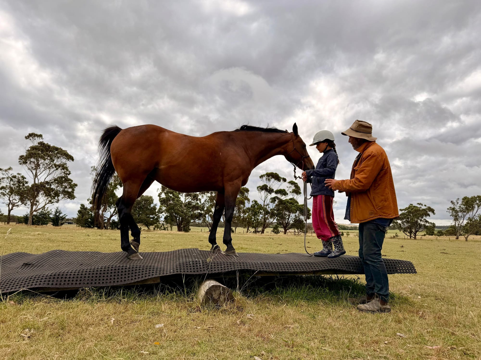 A natural method to horsemanship; ask less, receive more