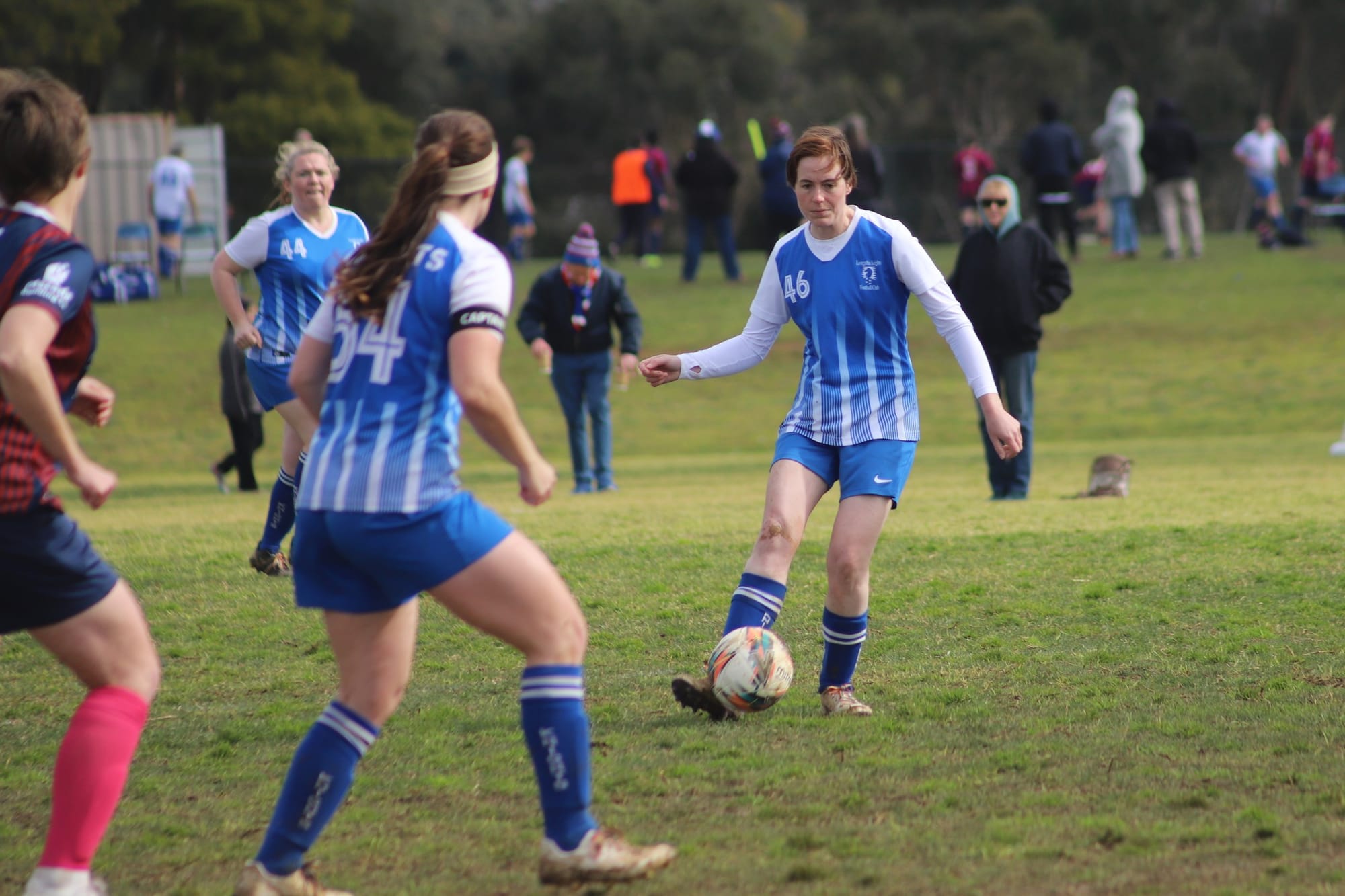 Knights searching for coach to continue women's dynasty