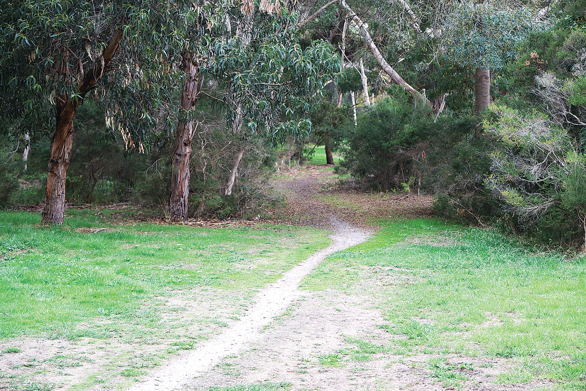 Alternative route proposed  for Surf Parade bike track