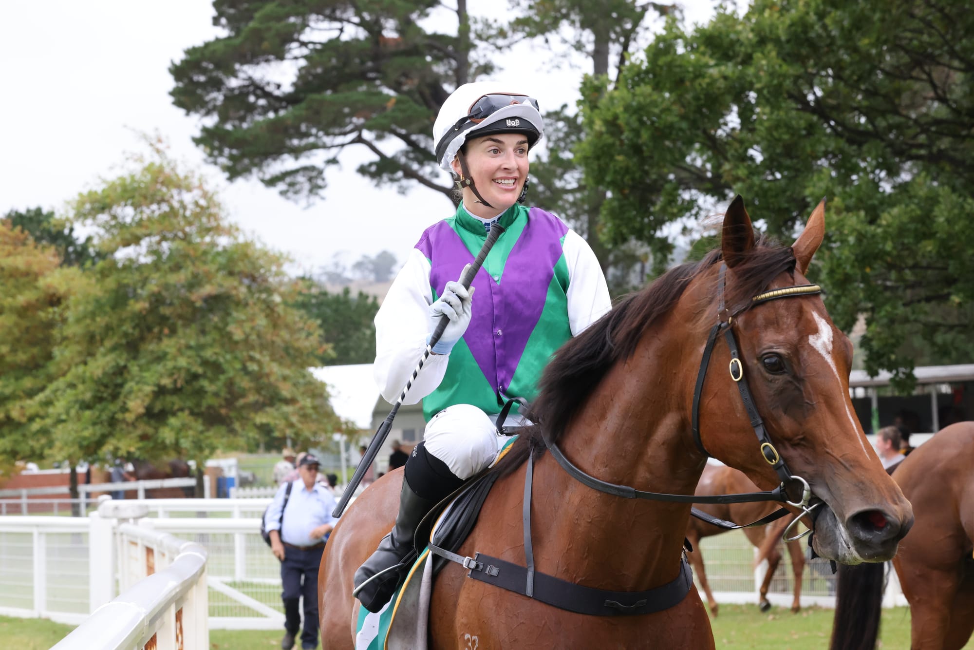 Six wins in a row for Woolamai Horse of the Year Magnardo