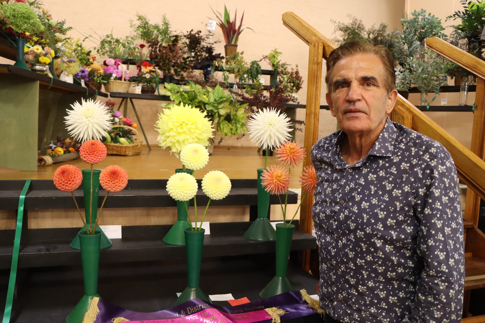 Dahlias lead the way in Welshpool