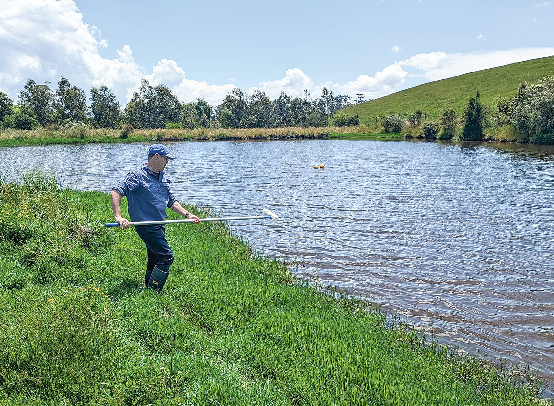 Free farm walk to explore dam biodiversity at Fish Creek