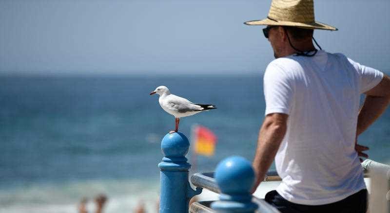 Victorians urged to prepare for 'extreme heat' today post image