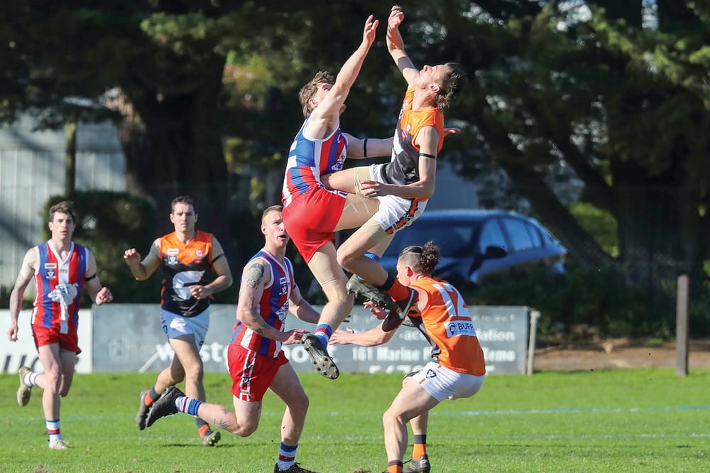 Bulldogs topple Giants in a decisive win post image