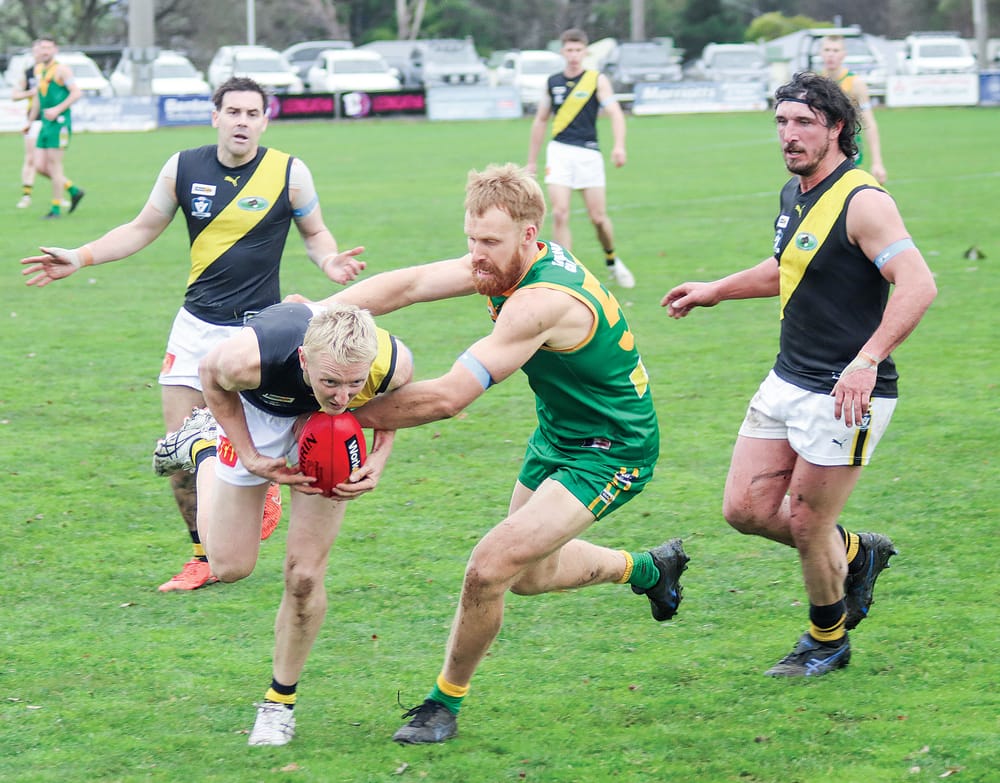 Parrots down Tigers with blistering final term in dreary conditions post image