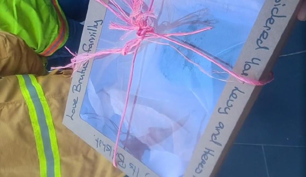 ‘Bullshit’ furore over farmer Rae’s levy stunt post image