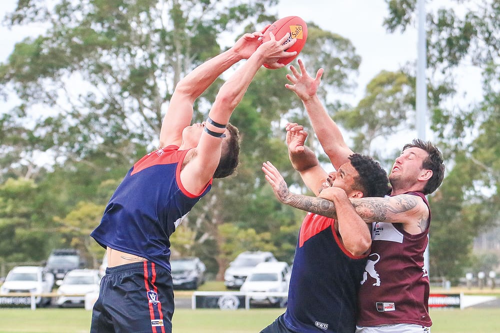 Demons edge Lions in thriller to open season on a high post image