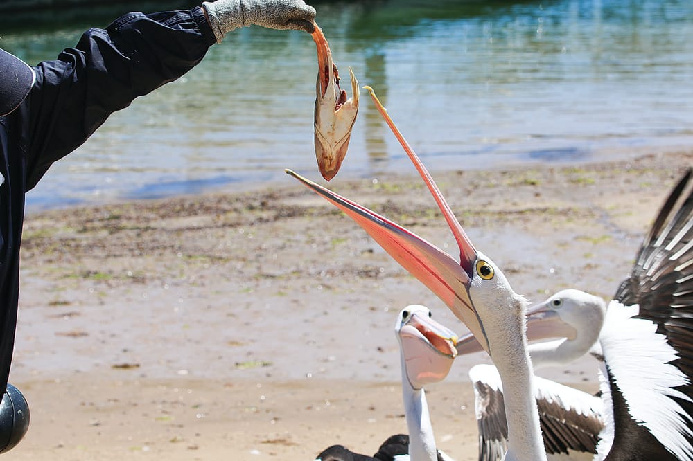 What's happening the week ahead... post image