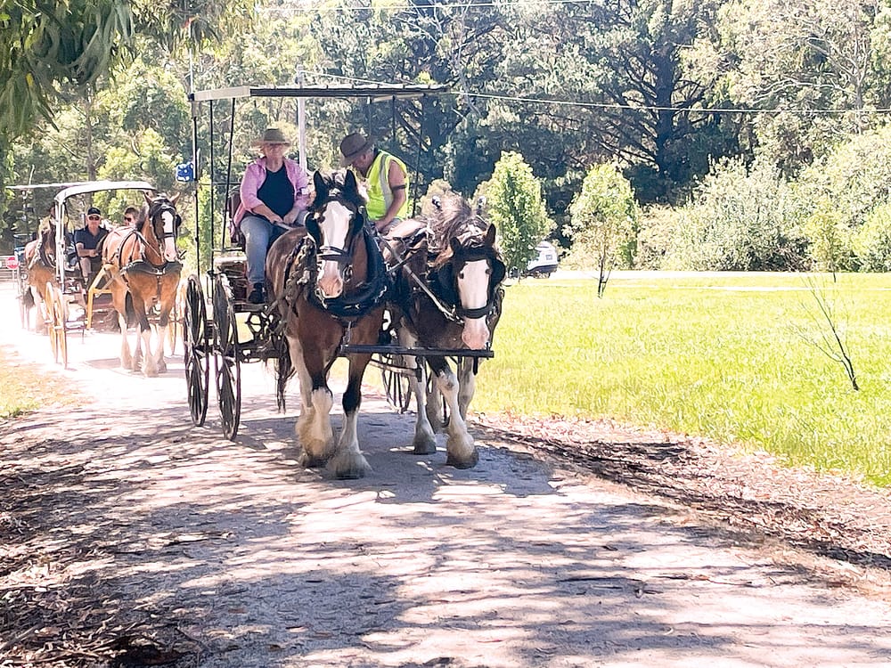 Prostate cancer charity drive ventures along Southern Rail Trail post image