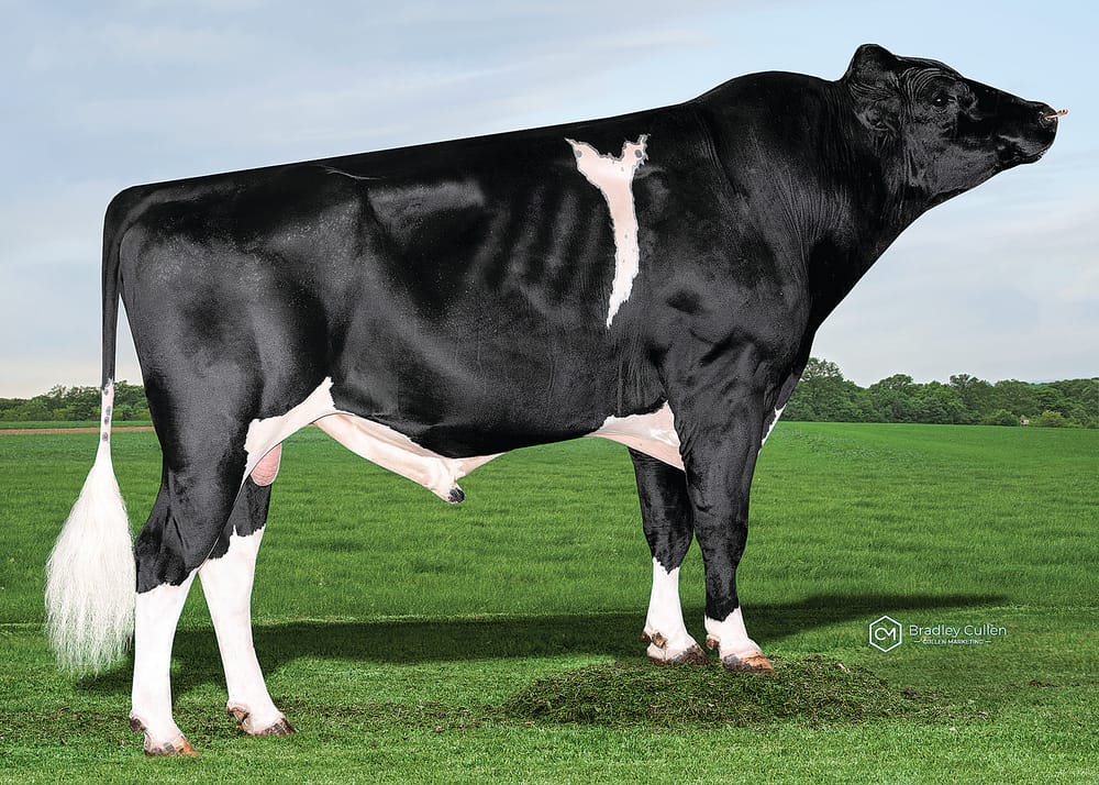 Highlighting strength and sustainability post image