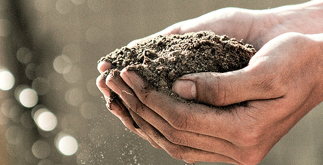 Bridging the gap between science and tradition in soil health post image