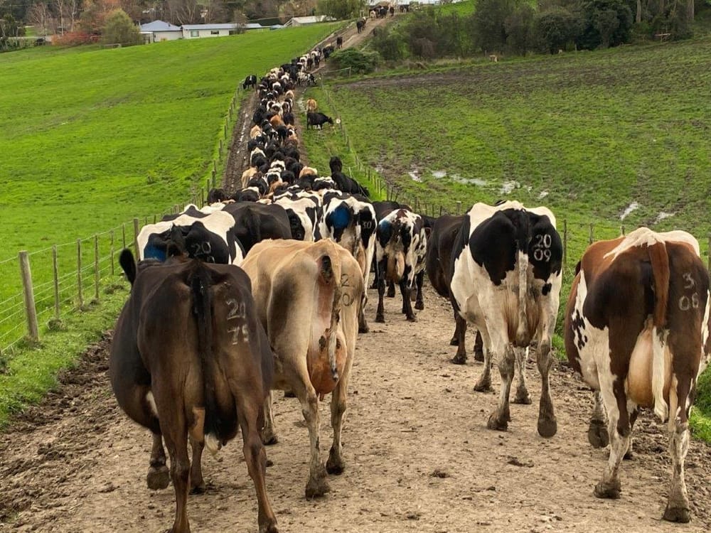 Farmers: What is your strategy when depression strikes? Here’s help post image