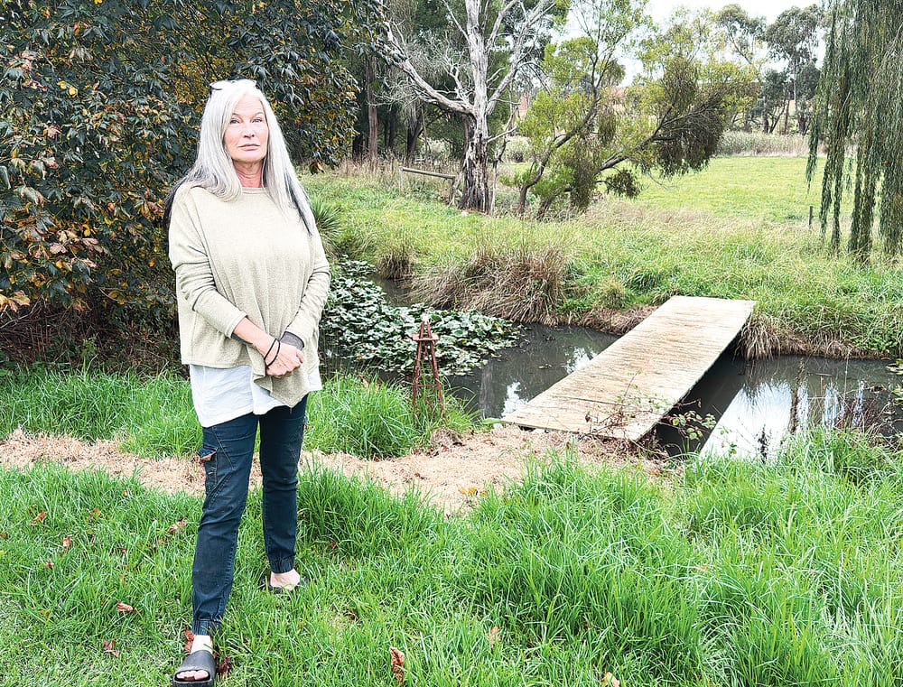 Council shuts down cattery and kennels to the dismay of clients post image