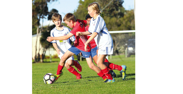 Gruelling draw along the coastline post image