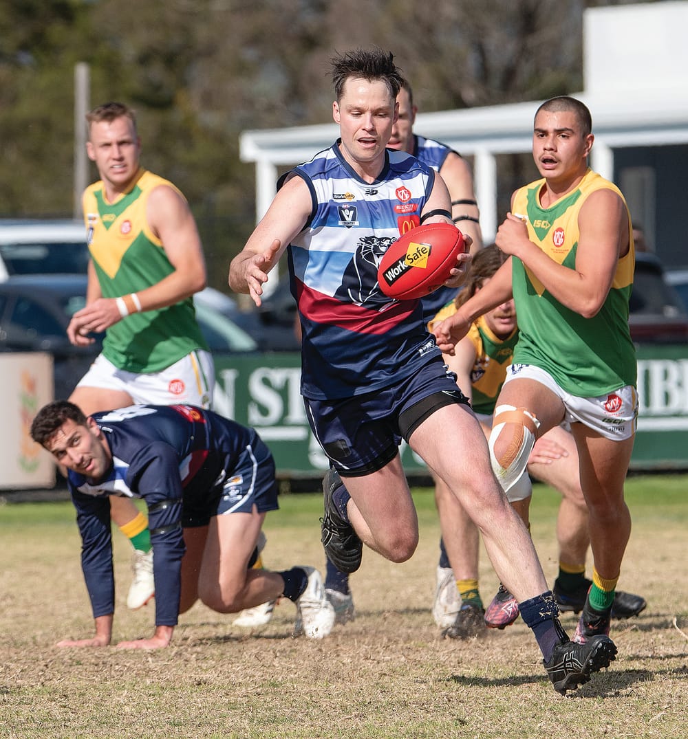 Panthers ready to launch their finals campaign post image