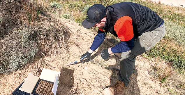 Fox, rabbit control program continues post image