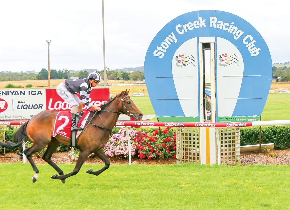 Makbeel easy winner of ‘Sentinel-Times’ maiden at Stony post image