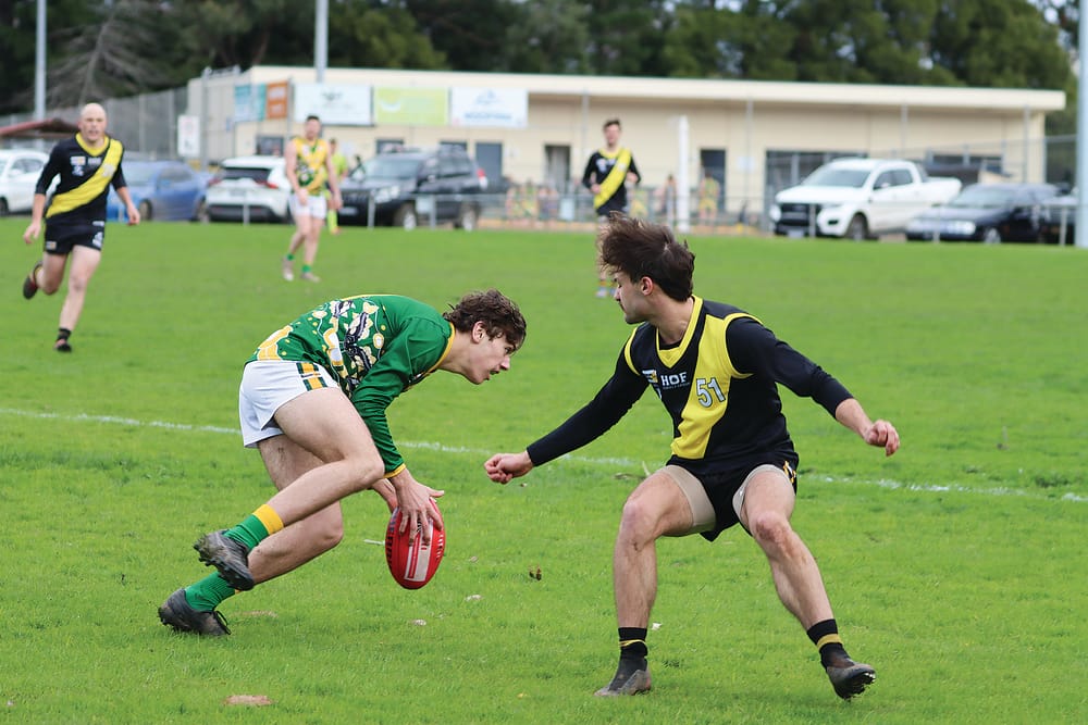 Tigers celebrate Indigenous round with a strong win post image