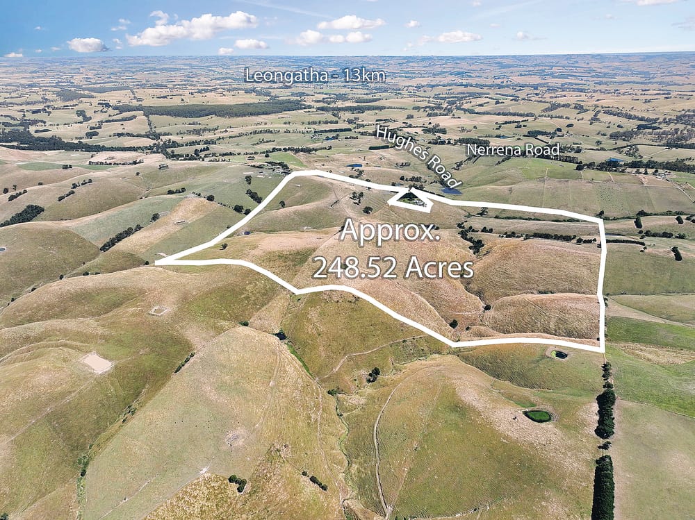 Almost 248 acre heavy carrying country post image