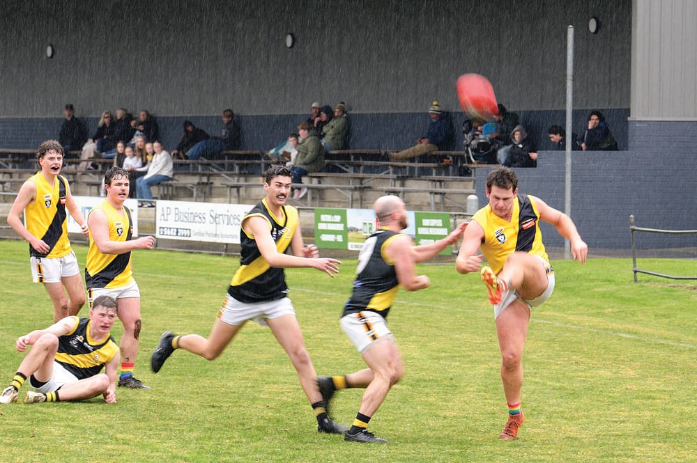 Wet weather clash of the tigers post image