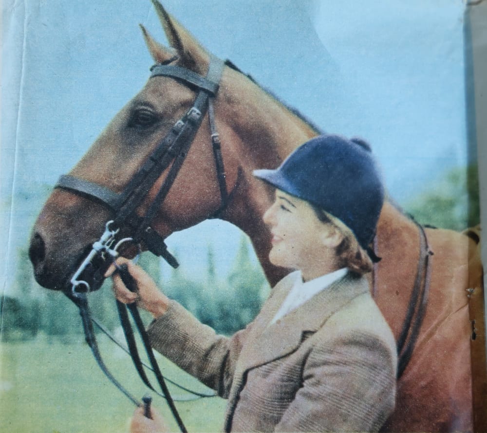 Melbourne Show: 70 years on, Anne Gibson and ‘Don Quixote’ honoured post image