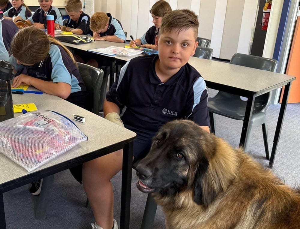 Why teaching’s gone to the dogs at Loch primary post image