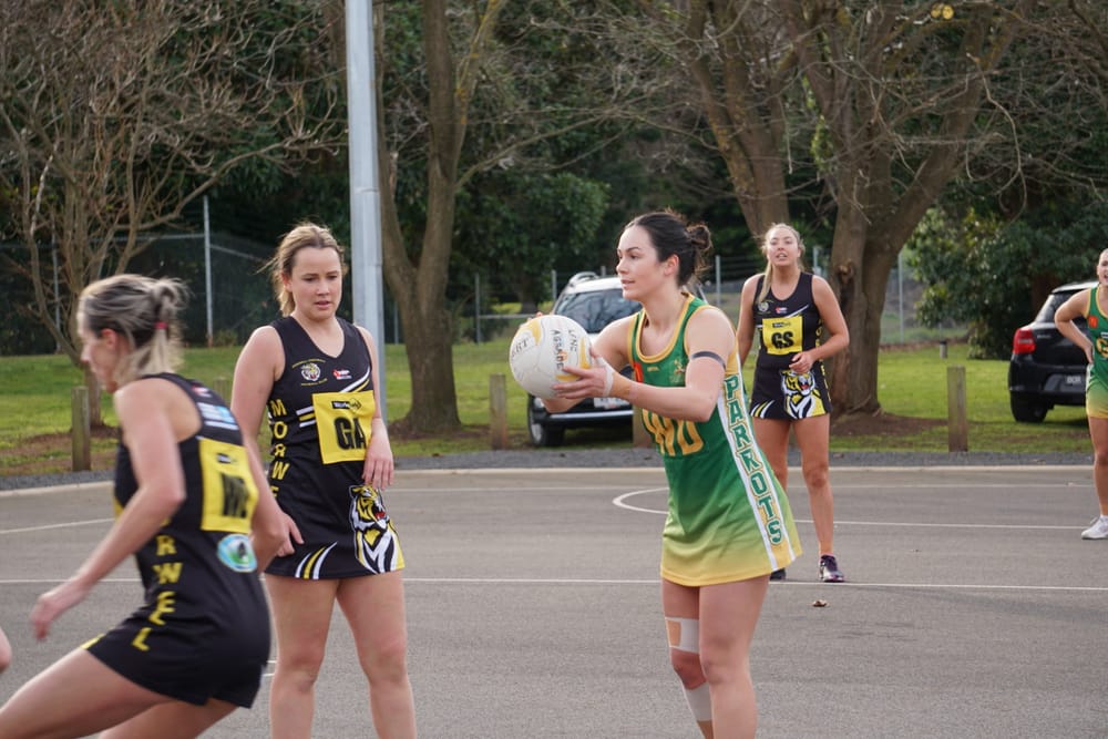 Parrots and Power ready themselves for finals post image