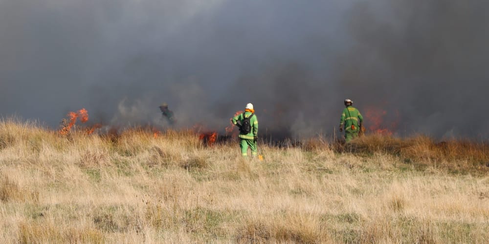 Planned burn currently underway at Kilcunda post image