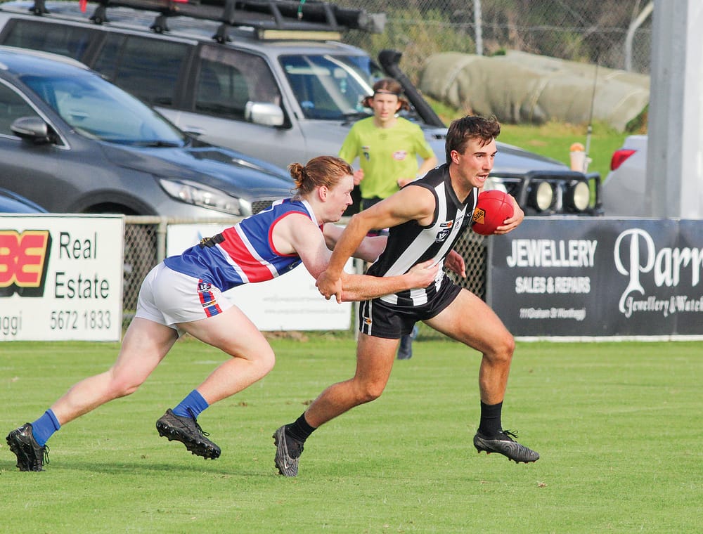 Magpies maul bereft Bunyip post image