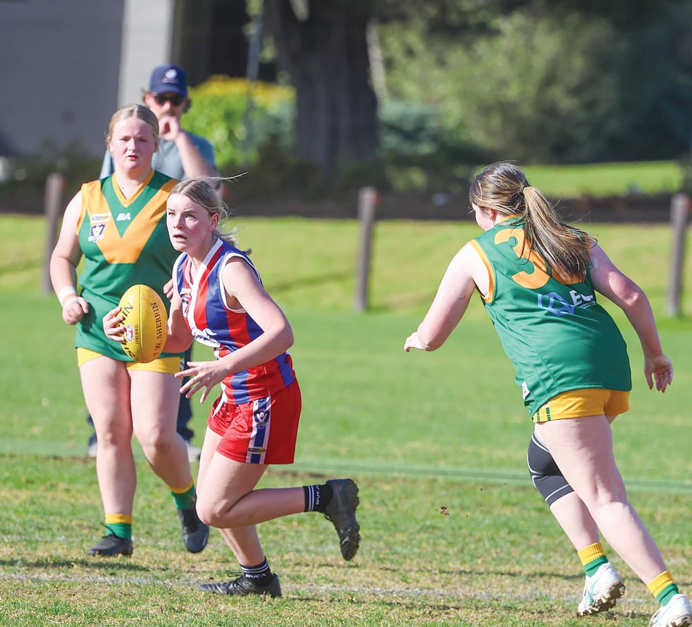 Bulldogs dominate under sunny skies post image